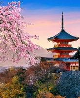 ญี่ปุ่น-internal link