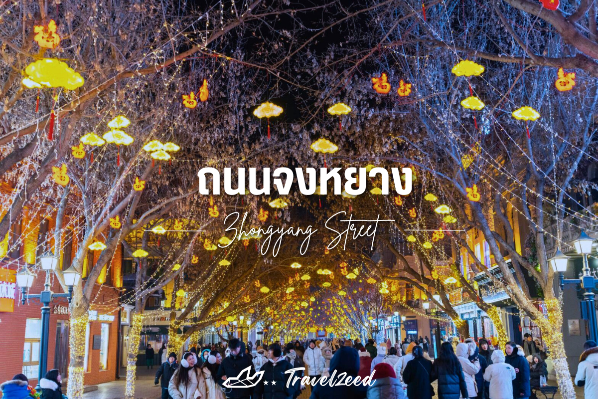 ถนนจงหยาง (Zhongyang Street)