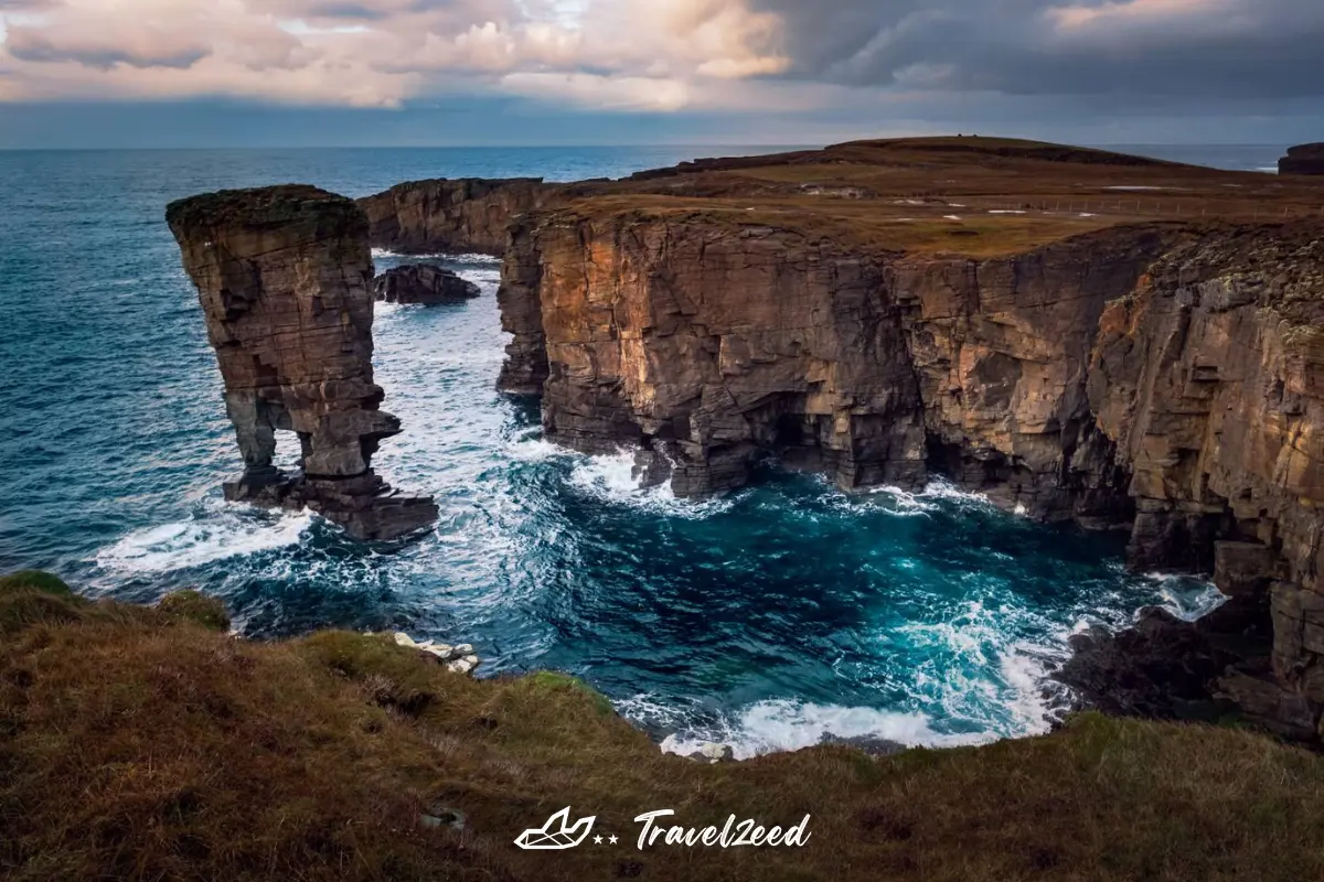 หมู่เกาะออร์กนีย์