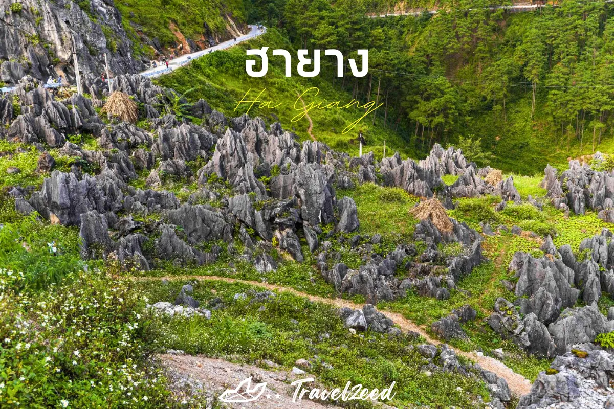 ฮายาง