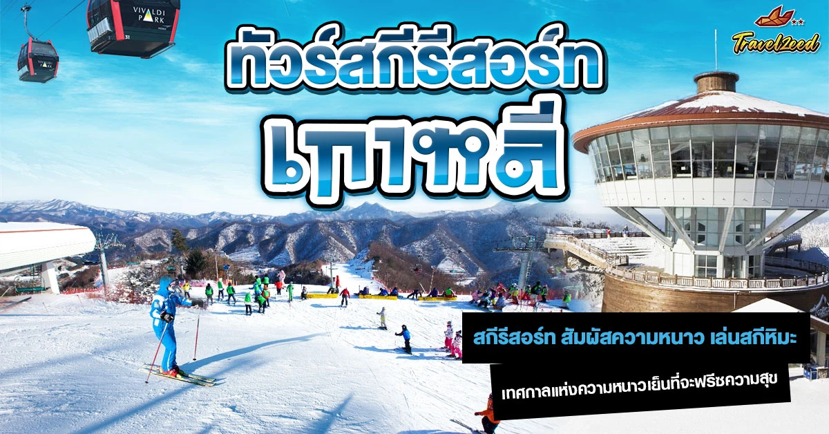 ทัวร์สกีรีสอร์ท เกาหลี