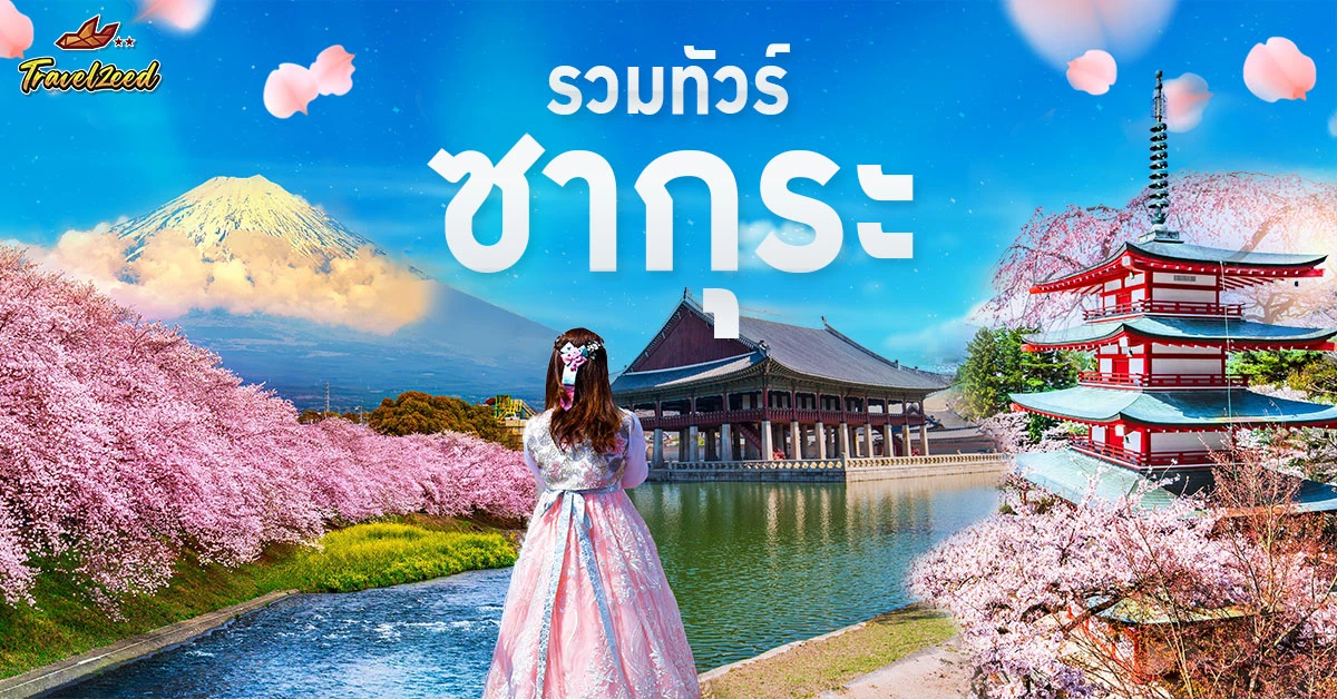 ทัวร์ซากุระ