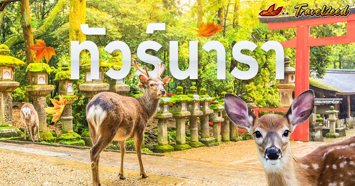 ทัวร์นารา