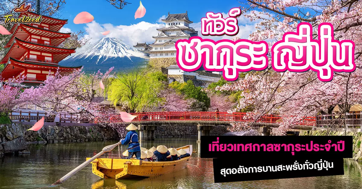 ทัวร์ซากุระ ญี่ปุ่น