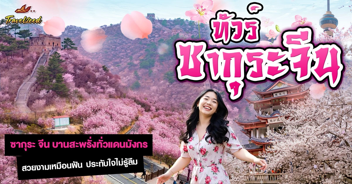 ทัวร์ซากุระ จีน