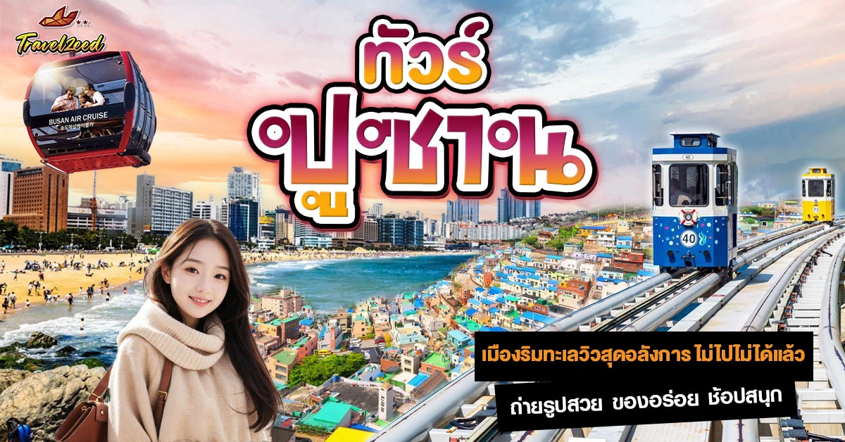 ทัวร์ปูซาน