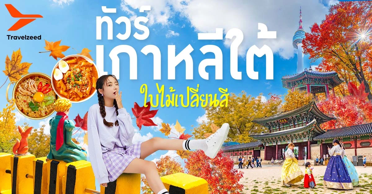 ทัวร์เกาหลีใต้ ใบไม้เปลี่ยนสี