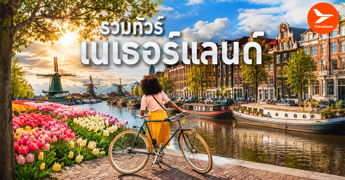 ทัวร์เนเธอร์แลนด์