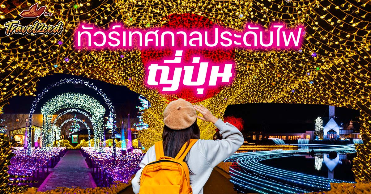 เทศกาลประดับไฟ ญี่ปุ่น