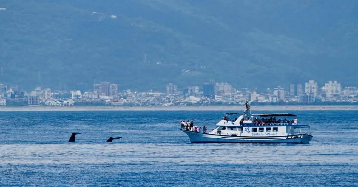 ทัวร์ไต้หวัน ไทเป ทะเลสาบสุริยันจันทรา ตึกไทเป 101 วัดหลงซาน หมู่บ้านโบราณจิ่วเฟิ่น