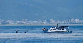 ทัวร์ไต้หวัน ไทเป ทะเลสาบสุริยันจันทรา ตึกไทเป 101 วัดหลงซาน หมู่บ้านโบราณจิ่วเฟิ่น