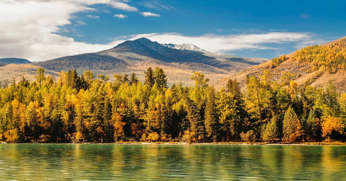 ทัวร์จีน มหัศจรรย์ซินเจียงเหนือ เปิดประตูสู่โลกสีทองคานาสือ ชมใบไม้เปลี่ยนสีหมู่บ้านเหอมู่และเมืองปีศาจ