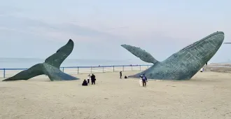 ทัวร์จีน ชิงเต่า เหยียนไถ เวยไห่ เซี่ยงไฮ้ ชมประติมากรรมวาฬเกยตื้น