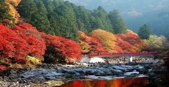 ทัวร์ญี่ปุ่น โตเกียว โอซาก้า ชมซากุระพร้อมใบไม้เปลี่ยนสีที่โอบาระและโครังเค