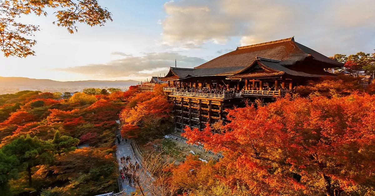 ทัวร์ญี่ปุ่น โอซาก้า เกียวโต ปราสาทโอซาก้า วัดน้ำใสคิโยมิสึ