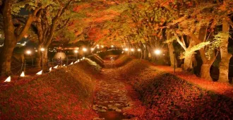 ทัวร์ญี่ปุ่น โตเกียว ฟูจิ อุโมงค์เมเปิ้ลโมมิจิไคโร เกาะเอโนชิมะตามรอยซีรีส์ดัง