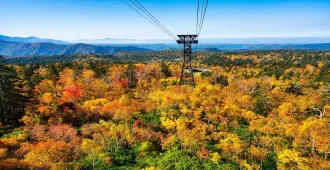 ทัวร์ญี่ปุ่น  มหัศจรรย์ ฮอกไกโด นั่งกระเช้าโซอุนเคียว ชมความงามฤดูใบไม้เปลี่ยนสี (พักออนเซ็น 1 คืน)