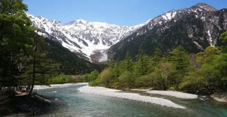 ทัวร์ญี่ปุ่น เจแปนแอลป์ คามิโคจิ ชมกำแพงหิมะและทุ่งชิบะซากุระ