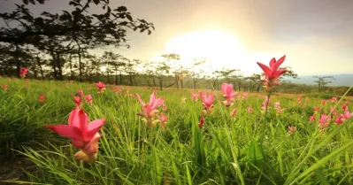 รูปภาพทัวร์