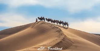 ทัวร์มองโกเลียใน ออร์ดอส ทุ่งหญ้าซีลาบู่เหริน ทะเลทรายอินเดินทาลา