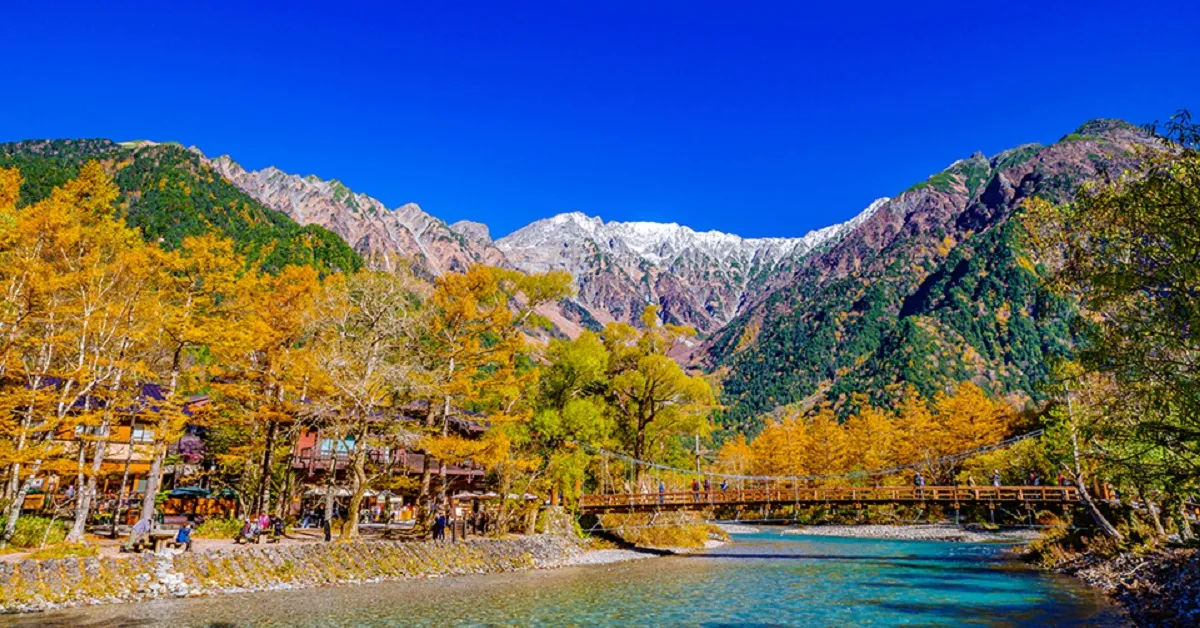 ทัวร์ญี่ปุ่น นากาโน่ โอซาก้า อลังการสีสันใบไม้เปลี่ยนสี (พักออนเซ็น 2 คืน)