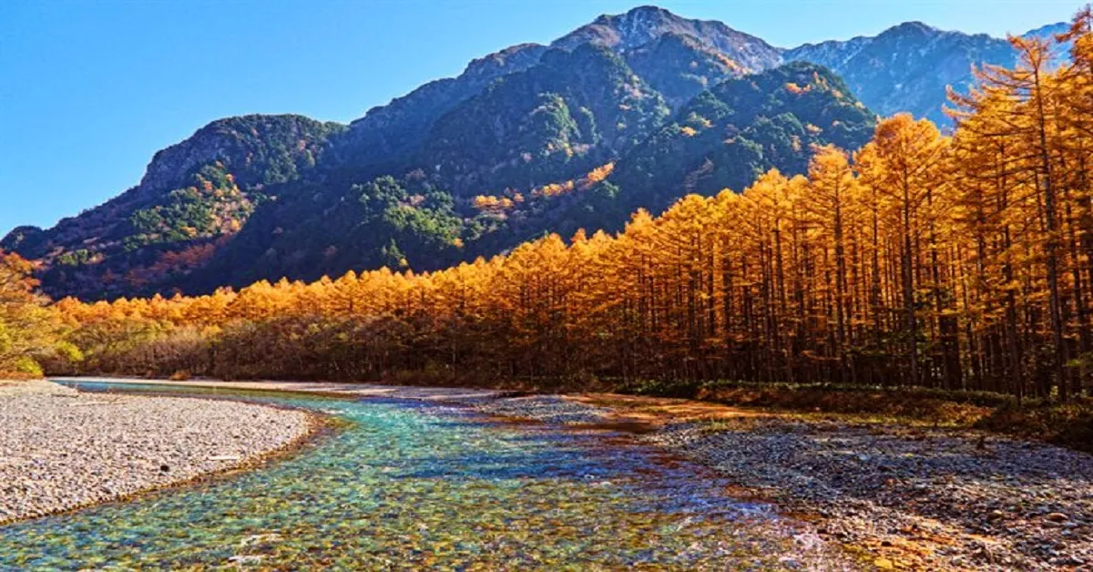 ทัวร์ญี่ปุ่น มหัศจรรย์ โอซาก้า นากาโน่ สัมผัสความงามคามิโคจิและกิจกรรมเก็บแอปเปิ้ลสดจากต้น