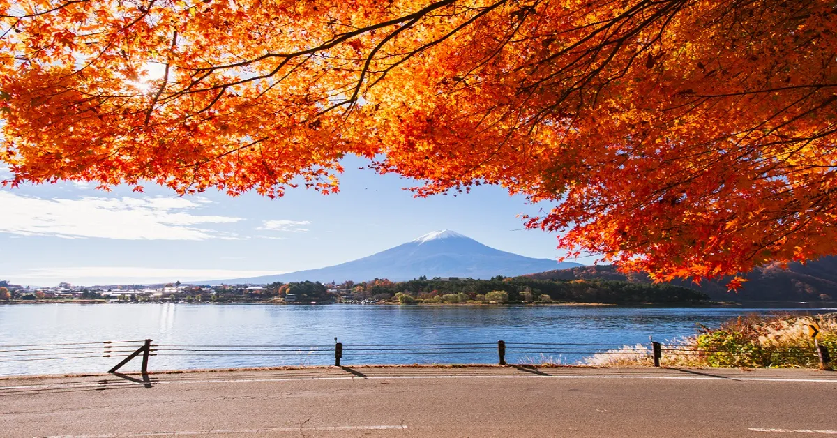 ทัวร์ญี่ปุ่น โตเกียว ยามานาชิ คารุอิซาว่า โคฟุ ชมใบไม้เปลี่ยนสี