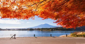 ทัวร์ญี่ปุ่น โตเกียว ยามานาชิ คารุอิซาว่า โคฟุ ชมใบไม้เปลี่ยนสี