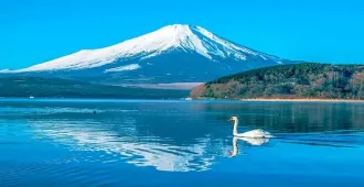 ทัวร์ญี่ปุ่น โตเกียว ฮาโกเน่ เยือนหมู่บ้านโอชิโนะฮัคไค ทะเลสาบยามานากาโกะ