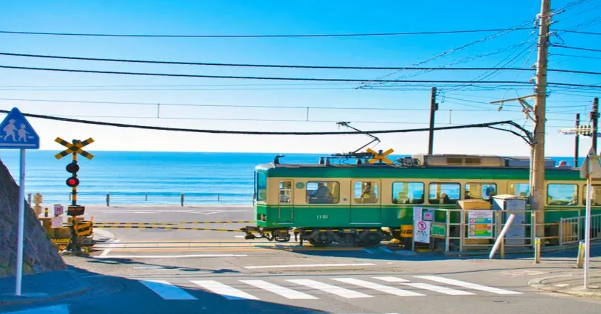 ทัวร์ญี่ปุ่น นั่งรถไฟสายโรแมนติก ชมวิวทะเลสู่เกาะเอโนะชิมะ ชมความงามทุ่งดอกโคเซีย ขอพรวัดอาซะกุสะ