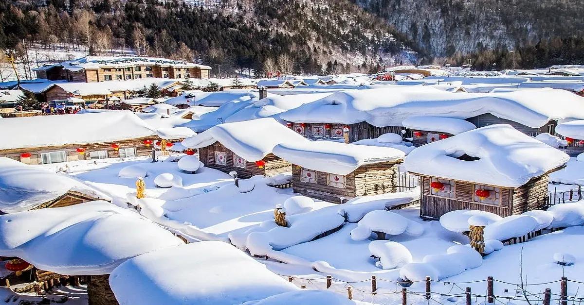 ทัวร์จีน ฮาร์บิน บ้านเห็ดหิมะ ชมทัศนียภาพท่ามกลางป่าสนหิมะ (พักหมู่บ้านหิมะ 1 คืน)