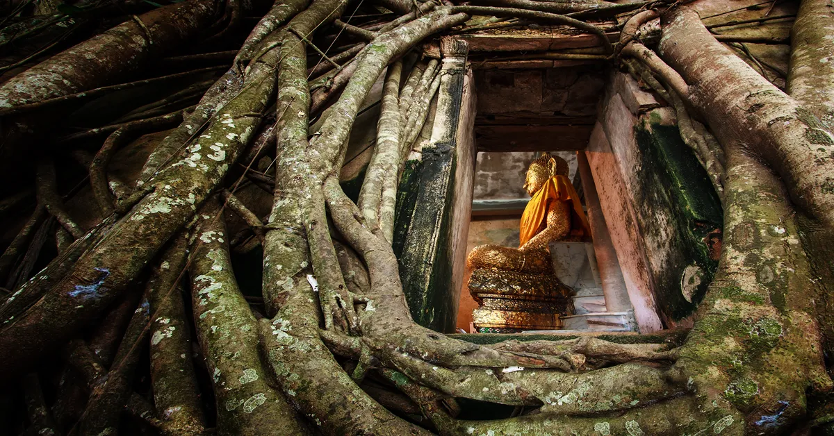 ทัวร์ไทย สมุทรสงคราม วัดจุฬามณี วัดบางกุ้ง วัดบางแคน้อย (One Day Trip)