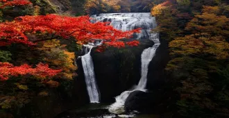 JapanTokyo Ibaraki Nikko Fukushima- ทัวร์ญี่ปุ่น โตเกียว นิกโก รักป่า รักเขา เรารักใบไม้เปลี่ยนสี