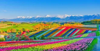 ทัวร์ญี่ปุ่น ฮอกไกโด โอตารุ สวนชิคิไซโนะโอกะ เนินพระพุทธเจ้า คลองโอตารุ