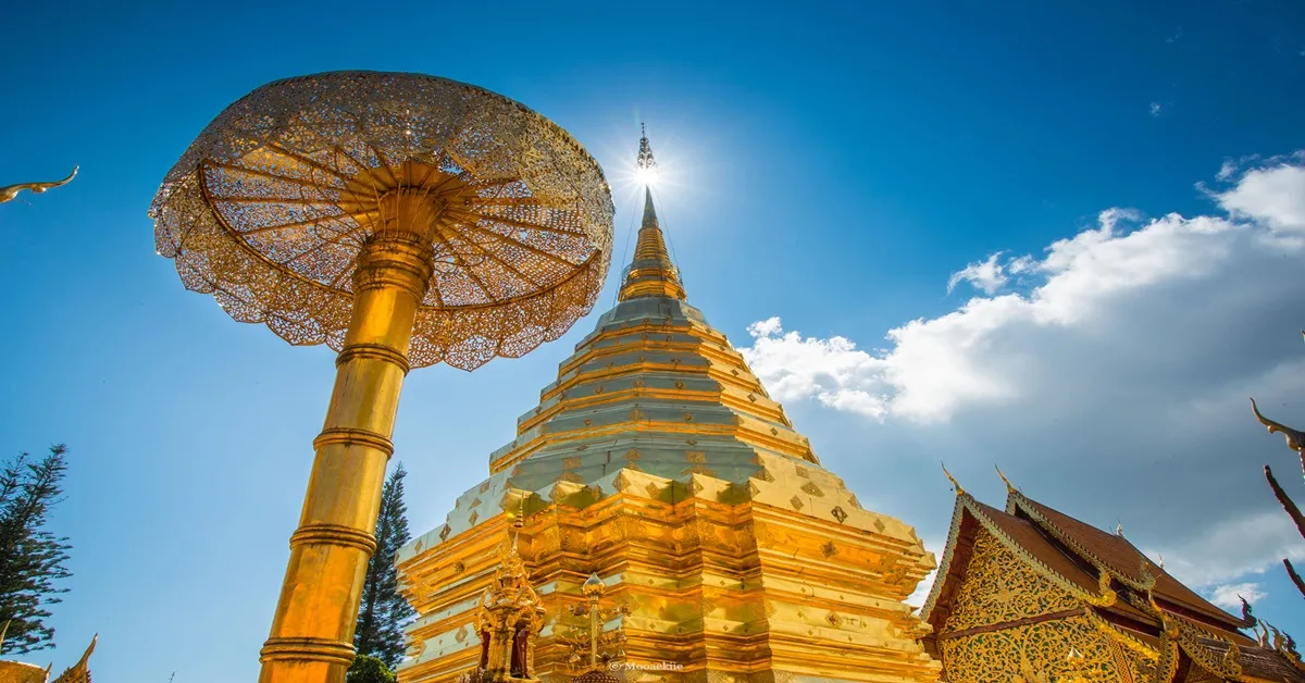 ทัวร์ไทย เชียงใหม่ ม่อนแจ่ม วัดพระธาตุดอยสุเทพ วัดโลกโมฬี วัดเจดีย์หลวงวรวิหาร