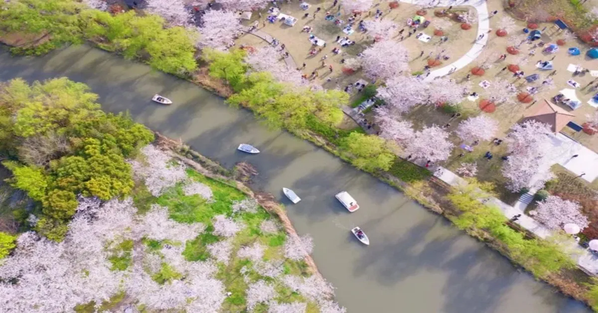 ทัวร์จีน เซี่ยงไฮ้ หาดไว่ทาน หมู่บ้านเหนียนฮวาวาน สวนสาธารณะกู้ชุน