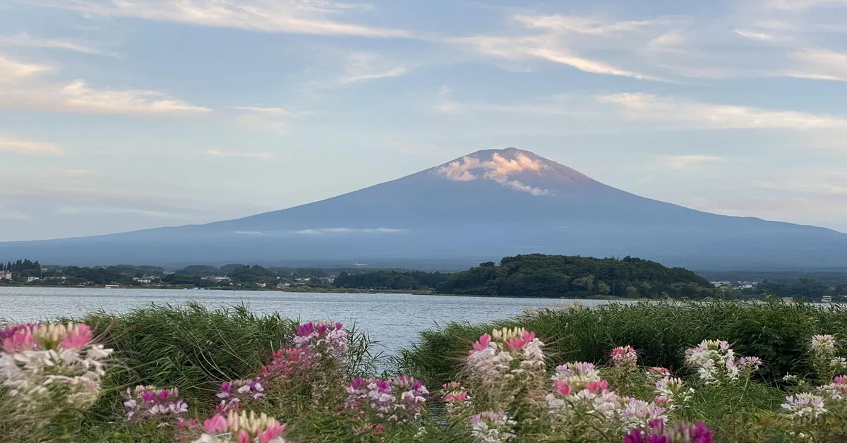 ทัวร์ญี่ปุ่น โตเกียว สวนโออิชิ ภูเขาโคมุโระ
