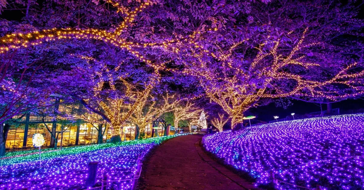 ทัวร์ญี่ปุ่น ซุปตาร์ โตเกียว คาวาโกเอะ คานากาวะ ยามานาชิ งานประดับไฟซากะมิโกะ