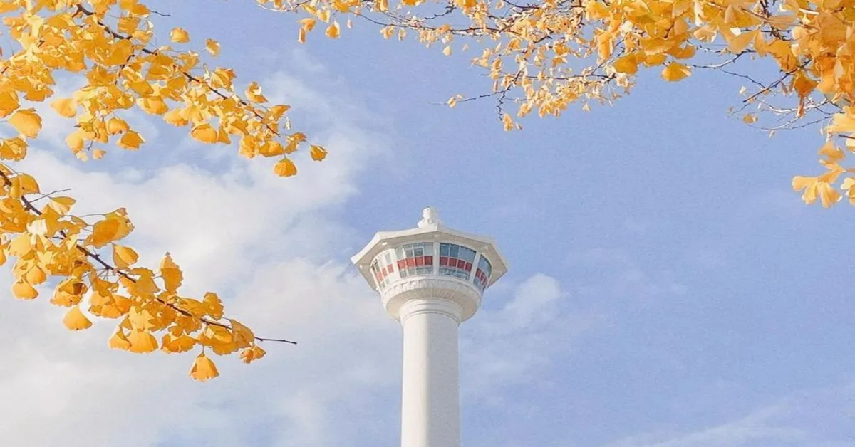 ทัวร์เกาหลีใต้ ปูซาน อุลซาน โพฮัง หอคอยปูซาน นั่งรถไฟ Sky Capsule
