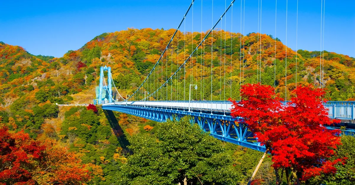 ทัวร์ญี่ปุ่น อิบารากิ เซนได โตเกียว สะพานแขวนริวจิน ปราสาทสึรุกะ ใบไม้เปลี่ยนสี (พักออนเซ็น 2 คืน)