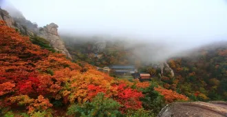 ทัวร์เกาหลี โซล ซอรัคซาน  สวนสนุกเอเวอร์แลนด์ ใบไม้เปลี่ยนสี