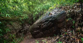 ทัวร์ไทย อุดรธานี บึงกาฬ นครพนม ถ้ำนาคา เกาะดอนโพธิ์ วัดสระมณี