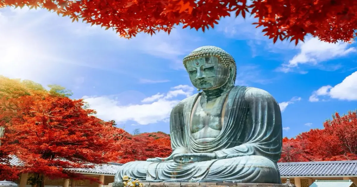 ทัวร์ญี่ปุ่น โตเกียว ฟูจิ เอโนะชิมะ วัดพระใหญ่โคโตคุอิน ใบไม้เปลี่ยนสี