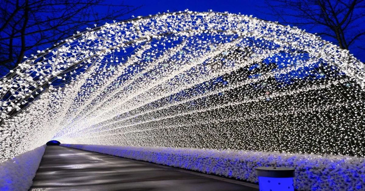 ทัวร์ญี่ปุ่น โอซาก้า เกียวโต กิฟุ เทศกาลแสงสี หมู่บ้านมรดกโลกชิราคาวาโกะ วัดคิโยมิสึ