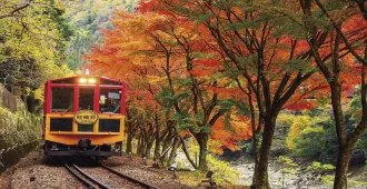 ทัวร์ญี่ปุ่น โทยาม่า นั่งรถไฟโทโรโกะชมใบไม้เปลี่ยนสี เยือนหมู่บ้านชิราคาวาโกะ