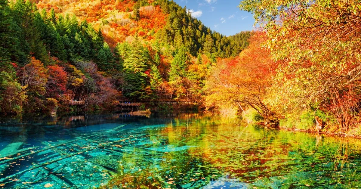 ทัวร์จีน เฉิงตู จิ่วจ้ายโกว อุทยานหวงหลง อุทยานภูเขาสี่ดรุณี สะพานหนานเฉียว