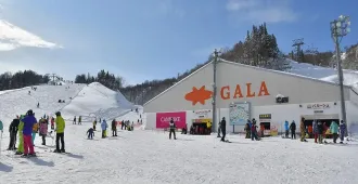 ทัวร์ญี่ปุ่น โตเกียว ฟูจิ ลานสกีกาล่ายูซาว่า เก็บสตอว์เบอร์รี่