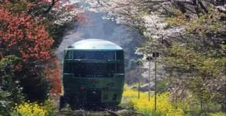 ทัวร์ญี่ปุ่น คิวชู ยูฟุอิน นั่งรถไฟยูฟุอินโนะโมริ ตลาดปลาคาราโตะ