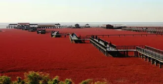 ทัวร์จีน ต้าเหลียน เซินเจิ้น ผานจิ่น เสิ่นหยาง หาดหญ้าแดง