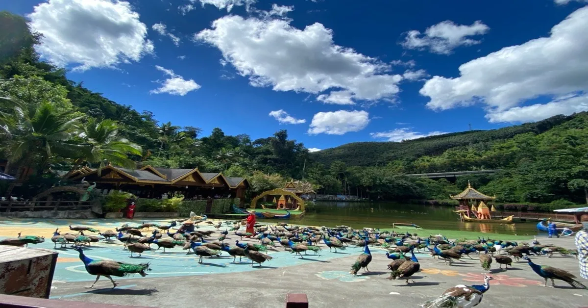 ทัวร์จีน สิบสองปันนา อุทยานป่าดงดิบสิบสองปันนา ล่องเรือแม่น้ำล้านช้าง